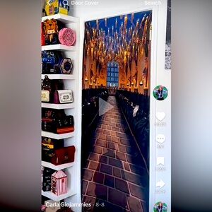 Harry Potter Door Cover